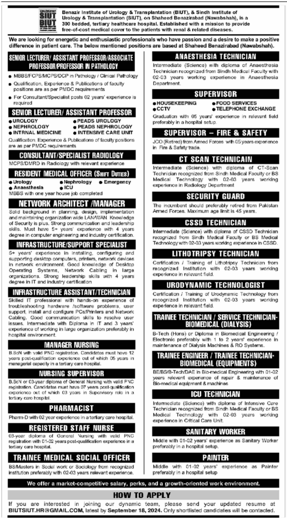 Today's Sunday Newspaper Jobs 6 October 2024 1 image 7