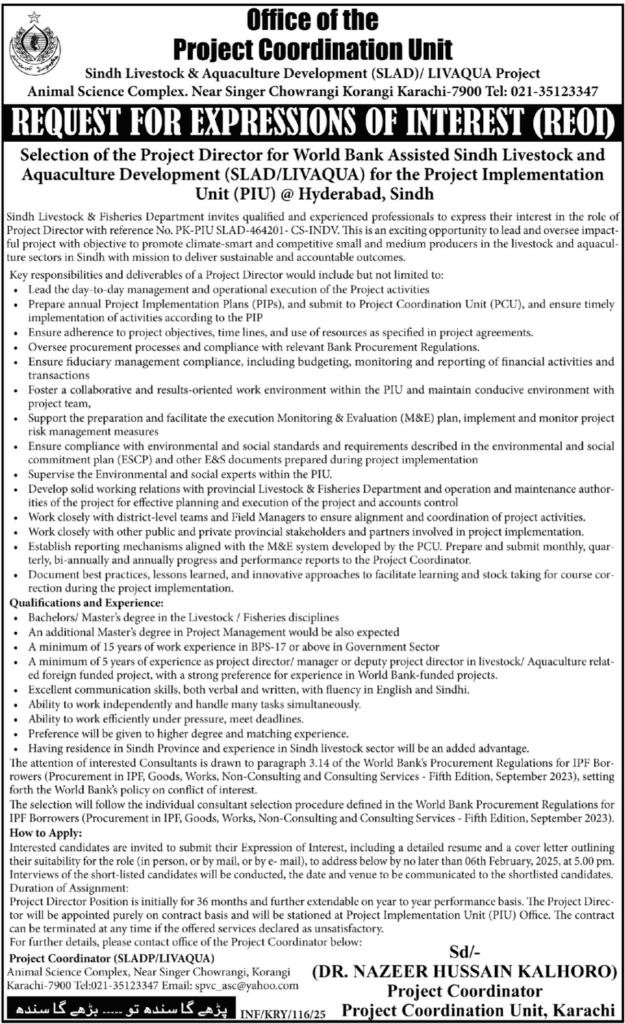 Latest Project Coordination Unit PCU Sindh Job 2025 1 Project Coordination Unit PCU Sindh Job 2025