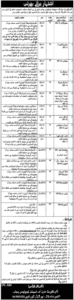 Directorate General Special Education Punjab Jobs