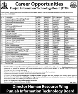 Punjab Information Technology Board Latest Jobs 2025