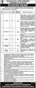 Latest Punjab Wildlife Parks Department Jobs 2025