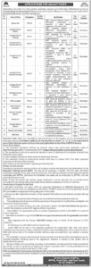 Latest BPPRA Jobs 2025 Apply Online Now
