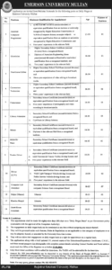Emerson University Multan Jobs Daily Wages Posts