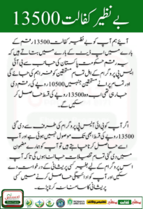 BISP 8171 March 2025 Installment Release Update