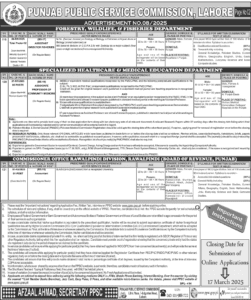 Today PPSC Advertisement No 08 Jobs 2025
