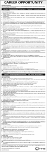Opportunities Project Based Jobs in HR Company