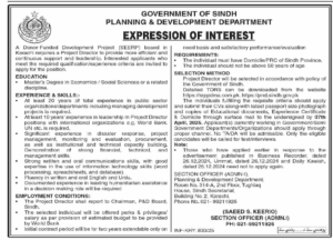 Sindh Planning Development Department Hiring 2025