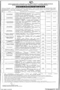 Today New Latest SMBBIT Larkana Jobs 2025