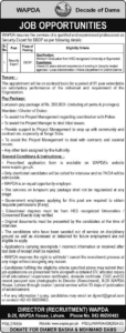 Latest WAPDA Security Expert Job 2025
