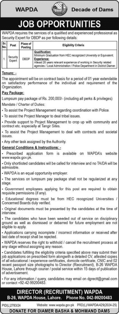 Latest WAPDA Security Expert Job 2025 1 Latest WAPDA Security Expert Job 2025