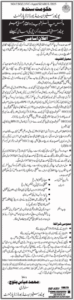 Today Sindh Universities Boards Department Jobs 2025