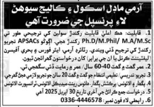 Latest Army Model School and College Sehwan Jobs 2025 1 Latest Army Model School and College Sehwan Jobs 2025
