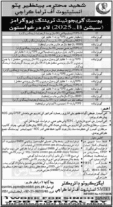 Benazir Bhutto Institute of Trauma Sindh Jobs 2025