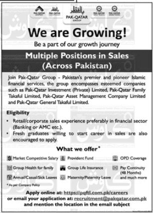 Latest Pak Qatar Group Jobs Opportunities 2025 1 Latest Pak Qatar Group Jobs Opportunities 2025