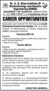 University of Karachi Opportunities of Jobs