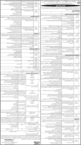 Sindh Social Protection Authority SSPA Jobs 2025