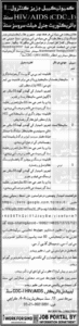 Latest Health Department Govt Sindh New Jobs
